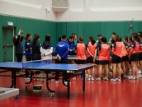 HKTTA 2017.May.17 262